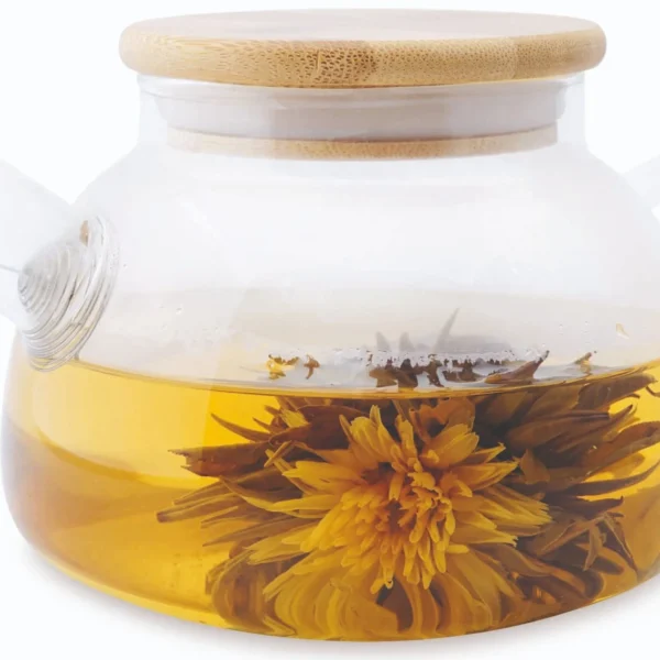 glass teapot 680ml with infuser simplicity design