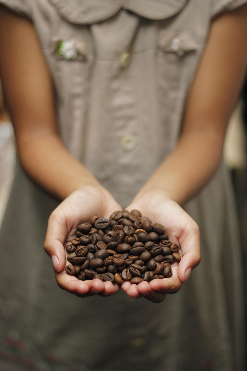 coffee, coffee beans, aroma, roasted, beans, espresso, cappuccino, mug, caffeine, coffee on hand, holding coffee beans, hand-holding, kopi, javanese, beautiful wallpaper, coffee background, coffee texture, background, coffee farm, indonesia, love shape, love coffee, girl holding, girl holding coffee bean, coffee cup, coffee seed, indonesian coffee, iphone wallpaper