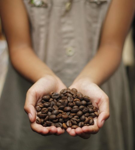 coffee, coffee beans, aroma, roasted, beans, espresso, cappuccino, mug, caffeine, coffee on hand, holding coffee beans, hand-holding, kopi, javanese, beautiful wallpaper, coffee background, coffee texture, background, coffee farm, indonesia, love shape, love coffee, girl holding, girl holding coffee bean, coffee cup, coffee seed, indonesian coffee, iphone wallpaper